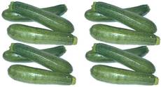 Zucchini-2x6.jpg